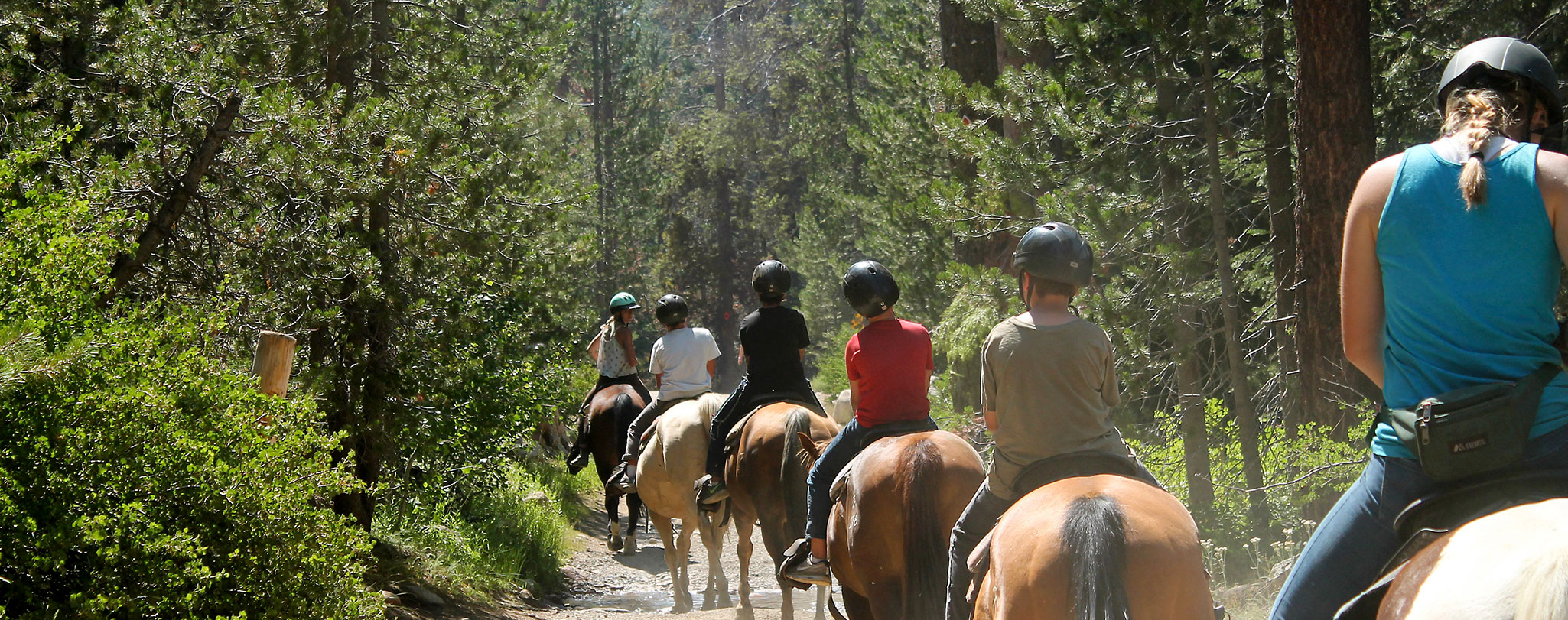 Gold Arrow Camp - California Summer Camp and Traditional Sleepaway