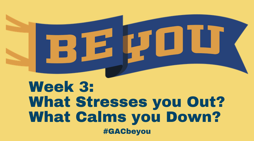 BE YOU: What Stresses you Out? What Calms you Down?