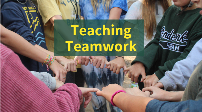 Teaching Teamwork